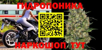 ALPHA PVP Заволжье