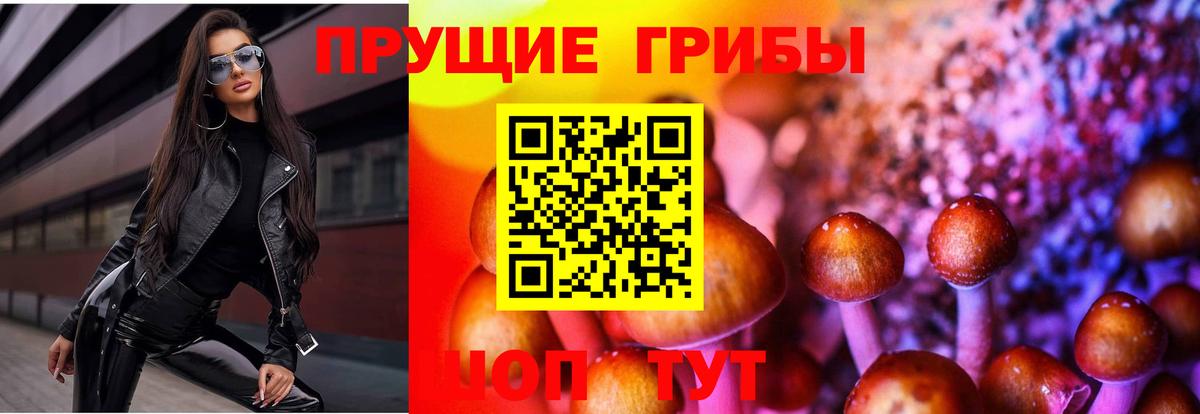 Псилоцибиновые грибы Psilocybe  Псилоцибиновые грибы Magic Shrooms  Майкоп  Вход с VPN 